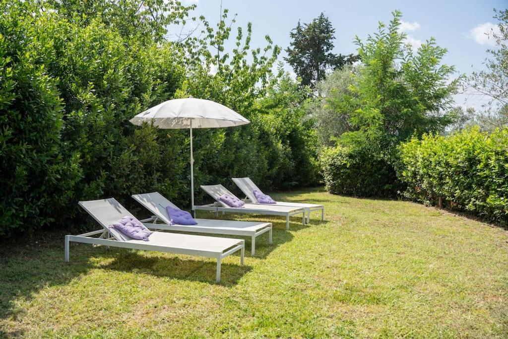 Loft Rustico Toscano: Natura E Relax Apartment *