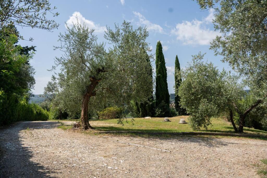 Loft Rustico Toscano: Natura E Relax Apartment *