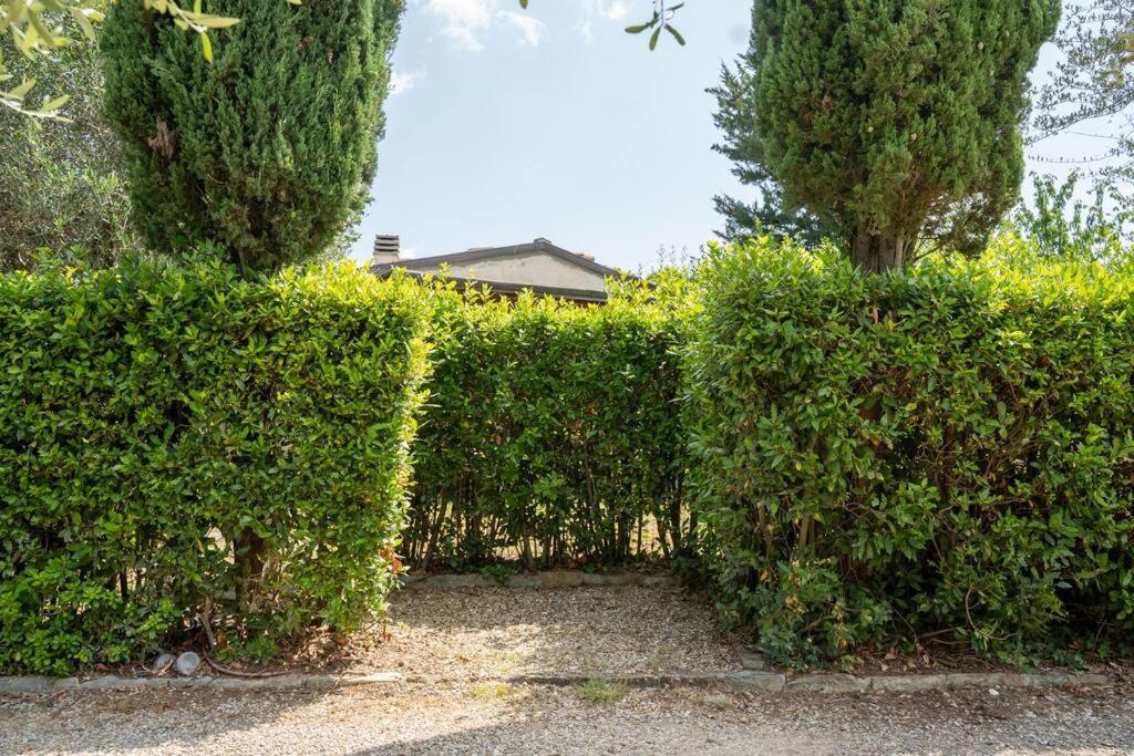 Loft Rustico Toscano: Natura E Relax Florence