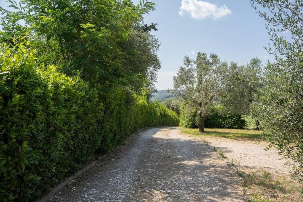 Loft Rustico Toscano: Natura E Relax Apartment *