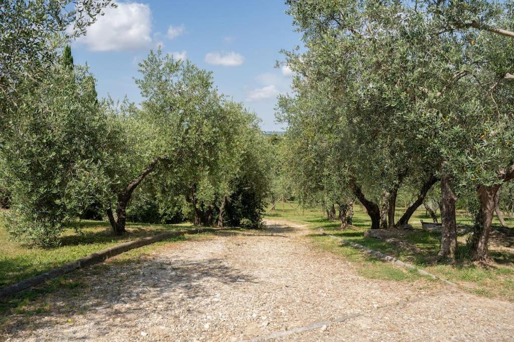 Loft Rustico Toscano: Natura E Relax Apartment