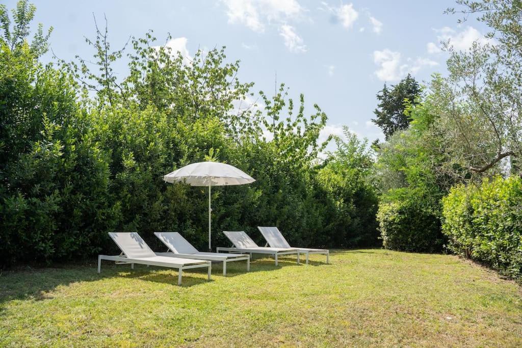 Loft Rustico Toscano: Natura E Relax Apartment *